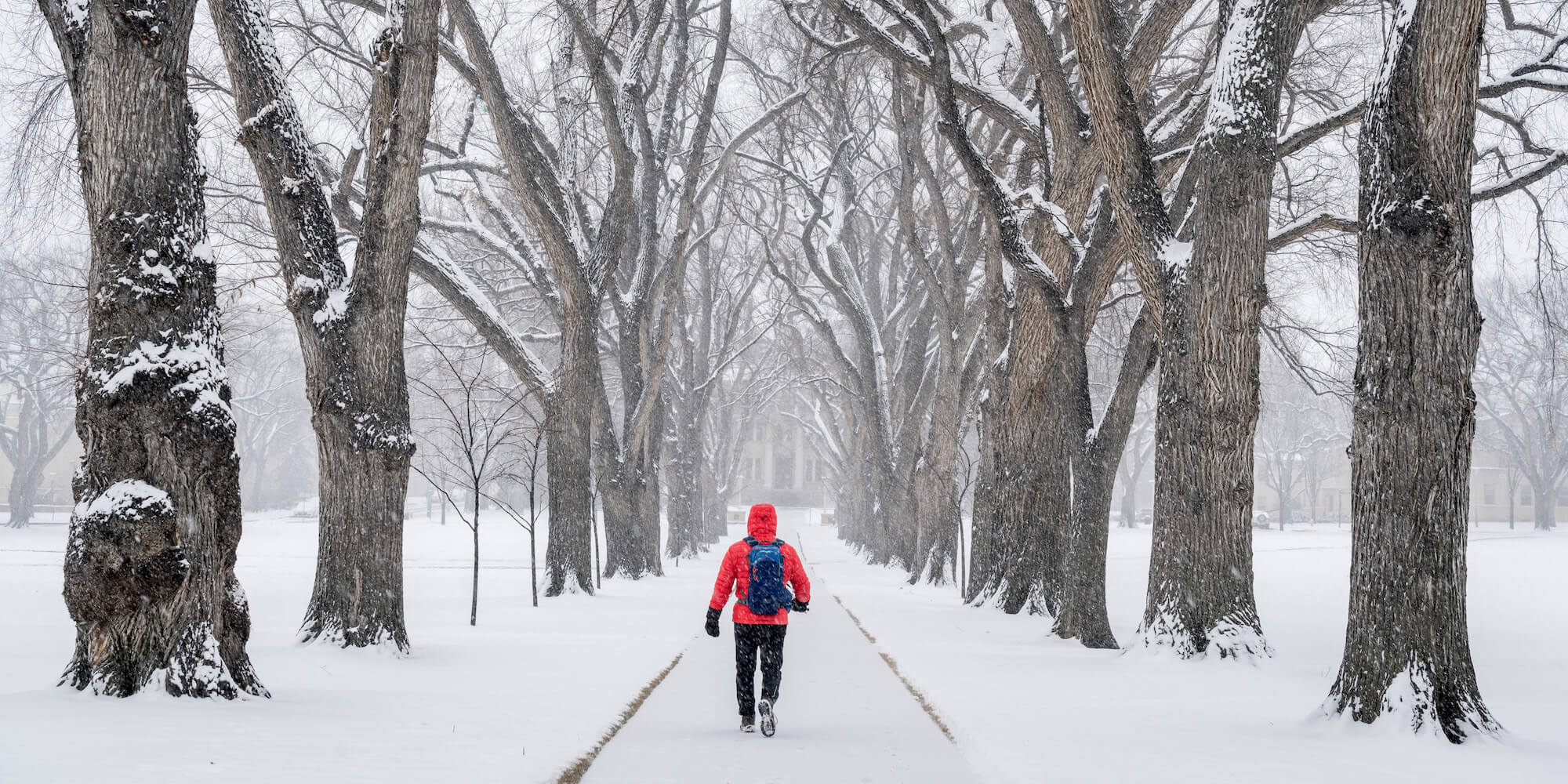 4 Tactics for Community Colleges to Promote Lifelong Learning