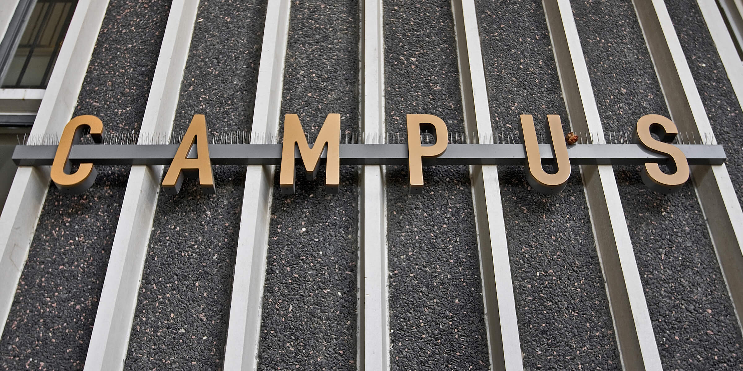 Learn why you should be thinking about credentialing differently.