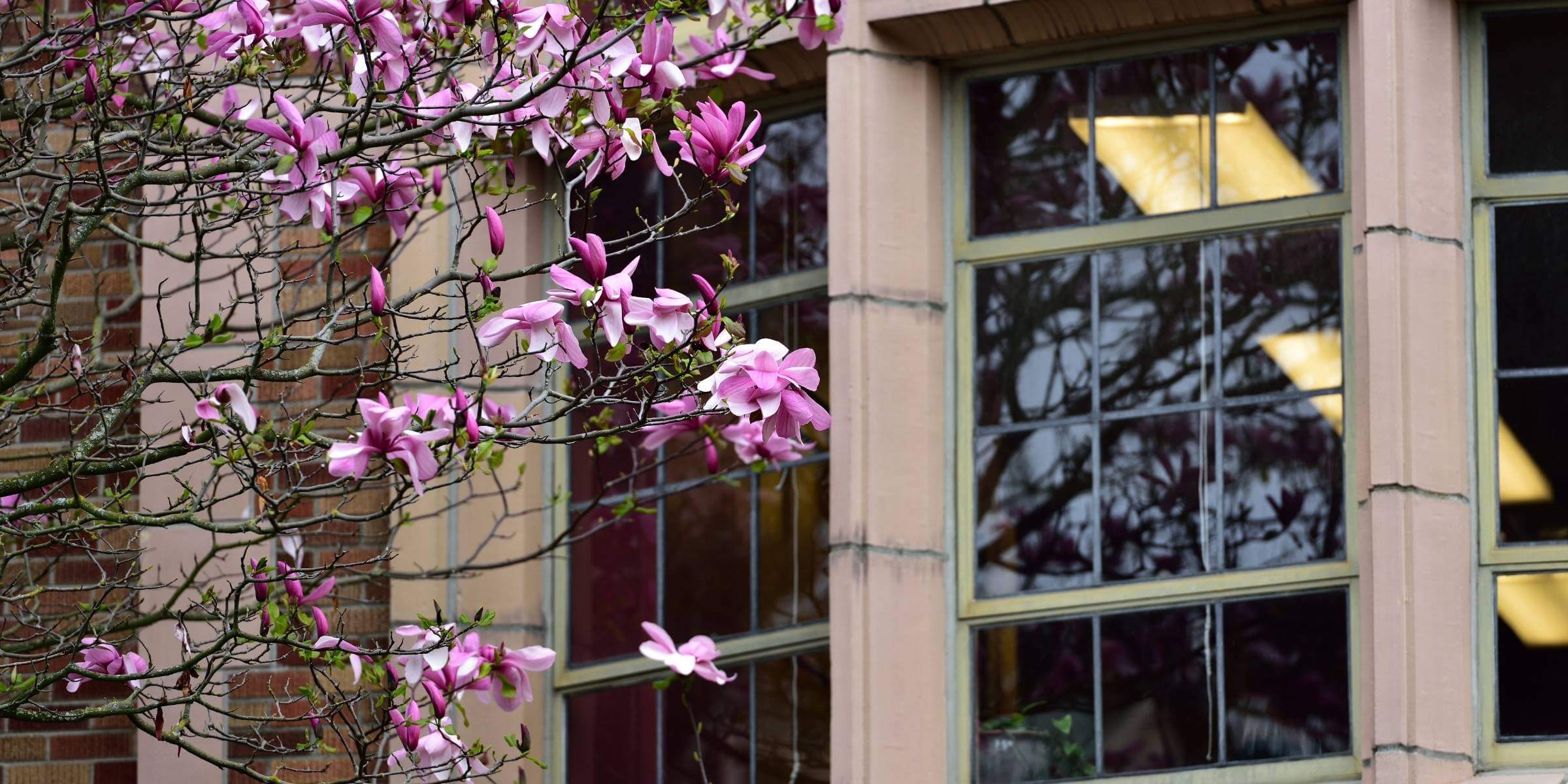 Your students deserve an Amazon like experience.